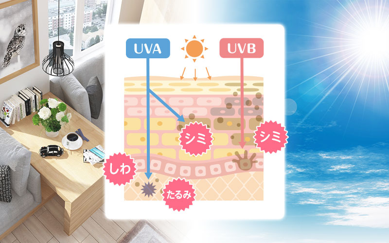 UVAとUVB