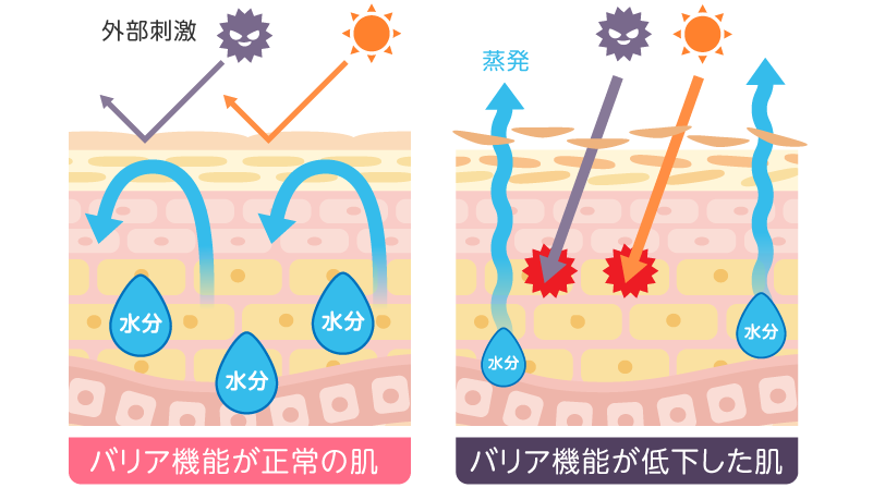 肌のバリア機能