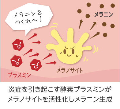 トラネキサム酸１