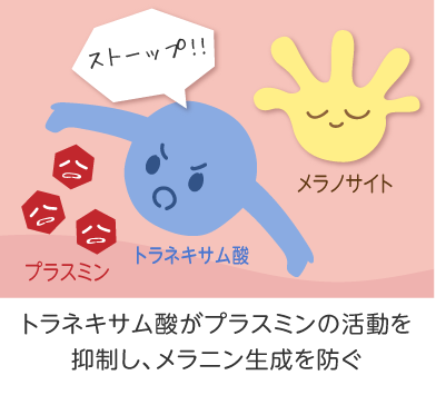 トラネキサム酸２