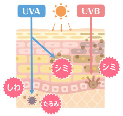 UVAとUVB