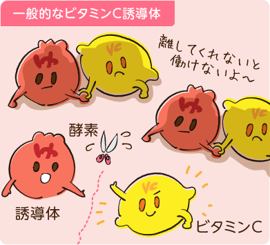 ビタミンC誘導体は酵素反応が必要