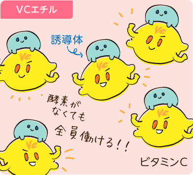 VCエチルは酵素反応不要
