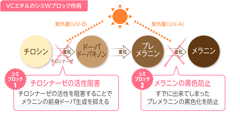 VCエチルのシミWブロック作用