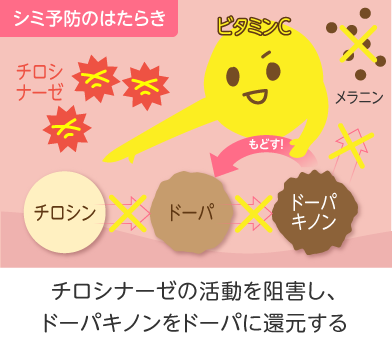 ビタミンC１