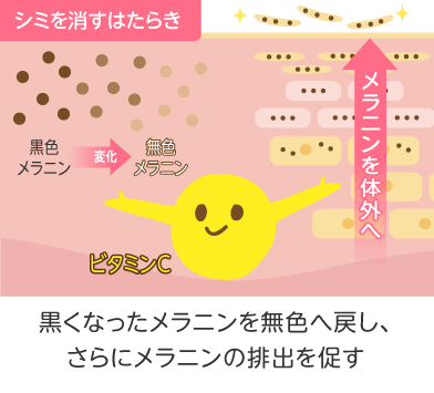 ビタミンC２
