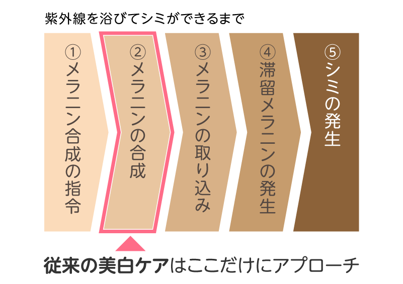 シミができるメカニズム
