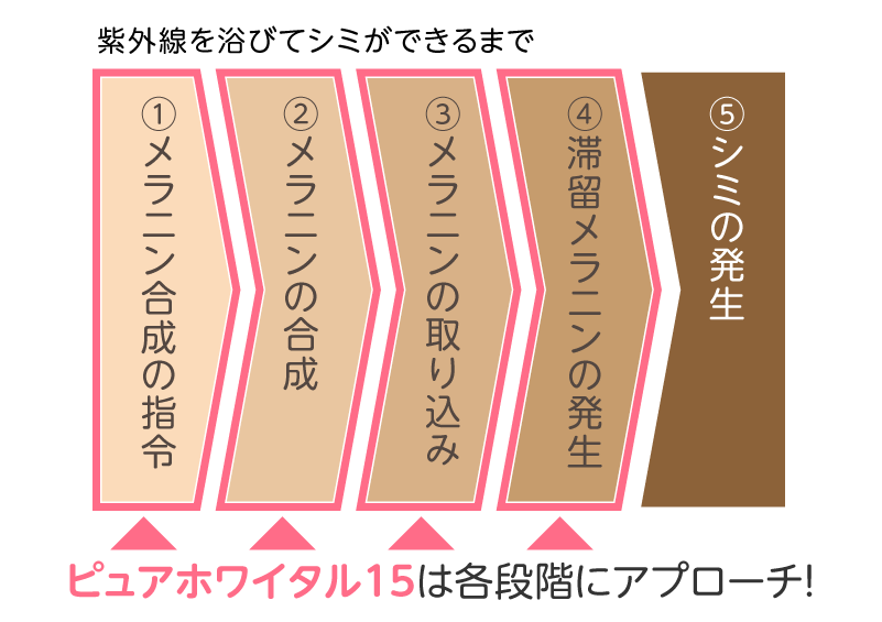 シミのメカニズム