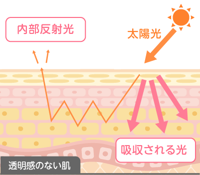 透明感のない肌